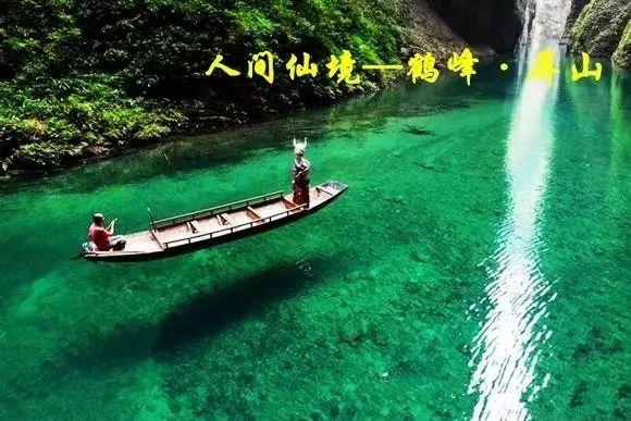 寻找奈良树花