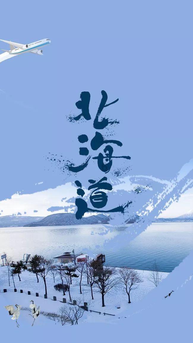 创作猫